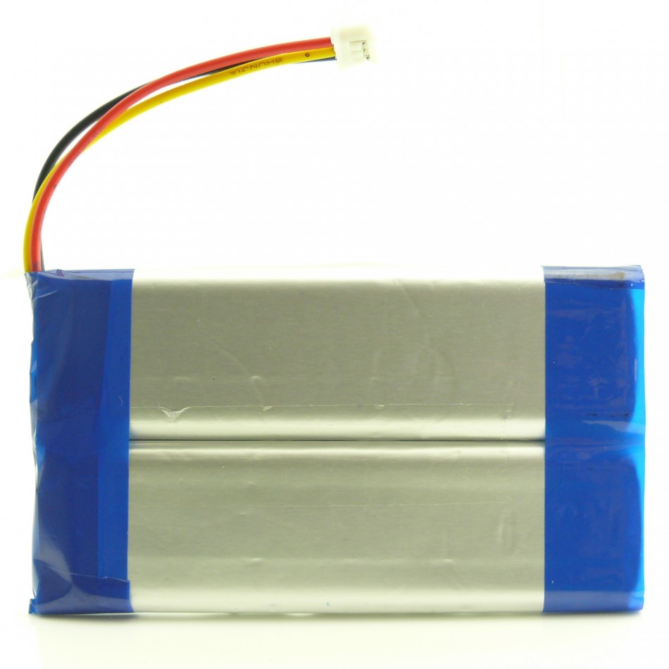 Batteria a litio 1200 mAh bulk Batteria a litio 1200 mAh bulk