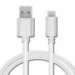COA01254002 Cavo Type C to USB