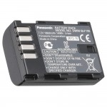 DMW-BLF19E Batteria