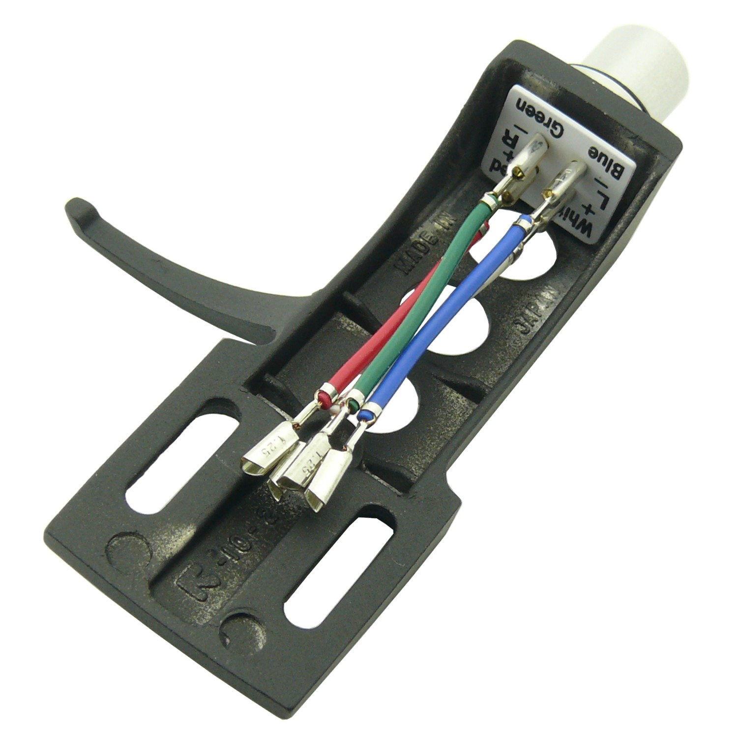 Conchiglia portatestina Pos.A3