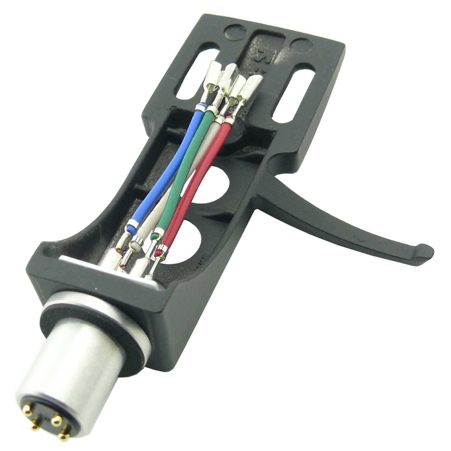 Conchiglia portatestina Pos.A3