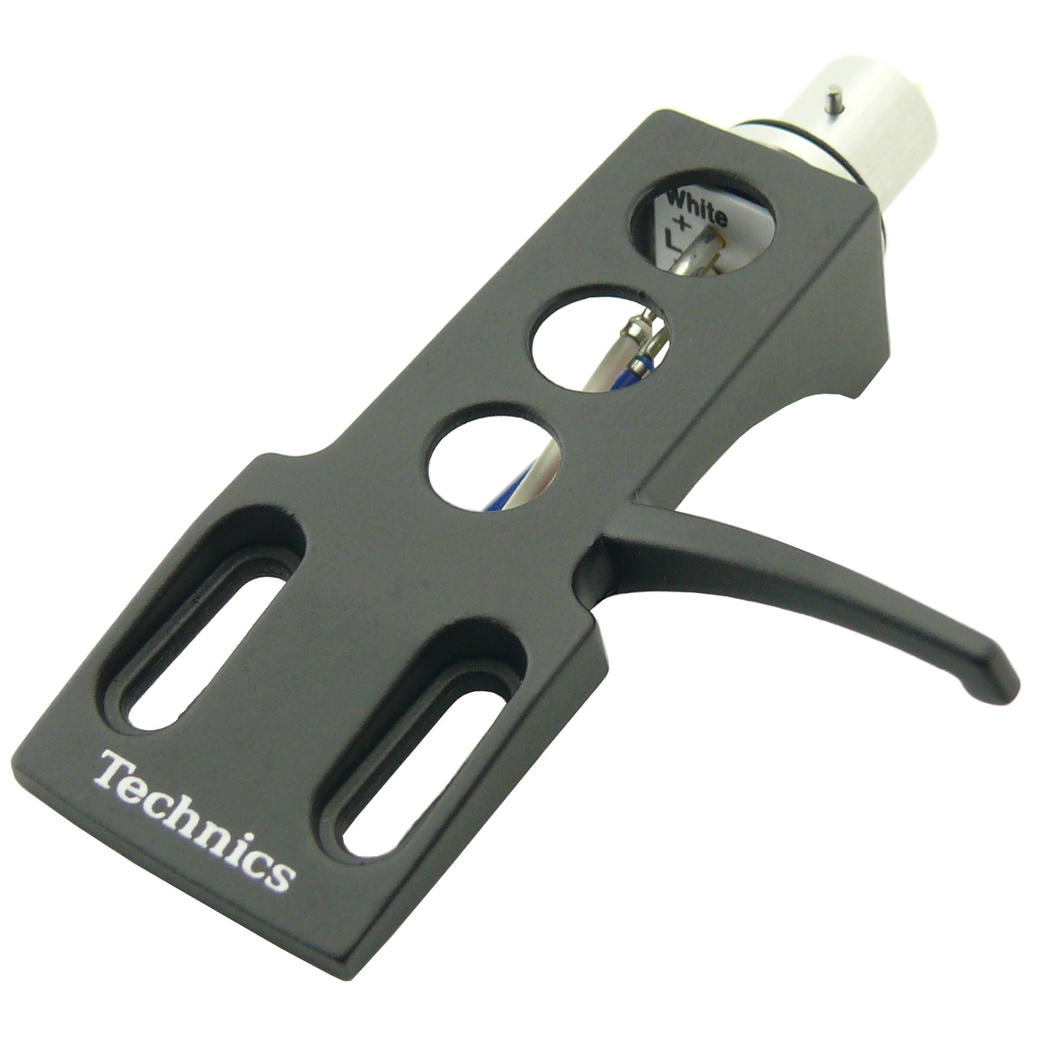 Conchiglia portatestina Pos.A3